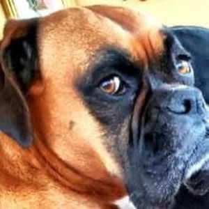 Meet your Posher, Jon